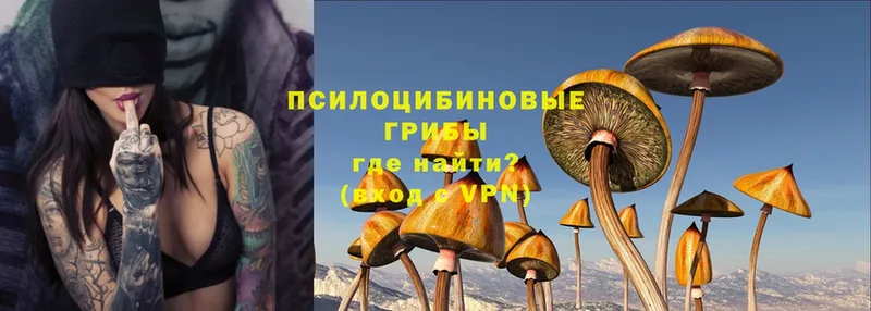 Псилоцибиновые грибы Magic Shrooms  Бугульма 